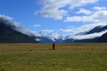 On the way to Milford Sounds