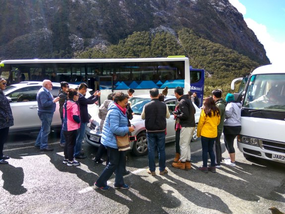 Taking a photo of tourists taking a photo of the Kea